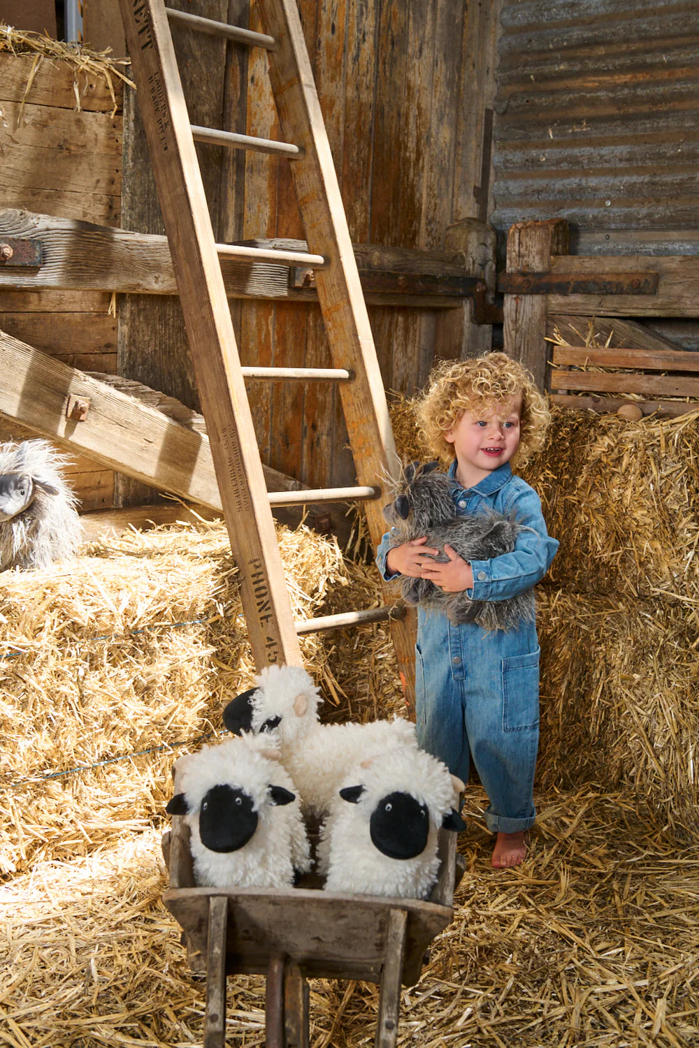 Aiden the Angora Goat