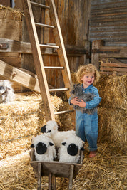 Aiden the Angora Goat