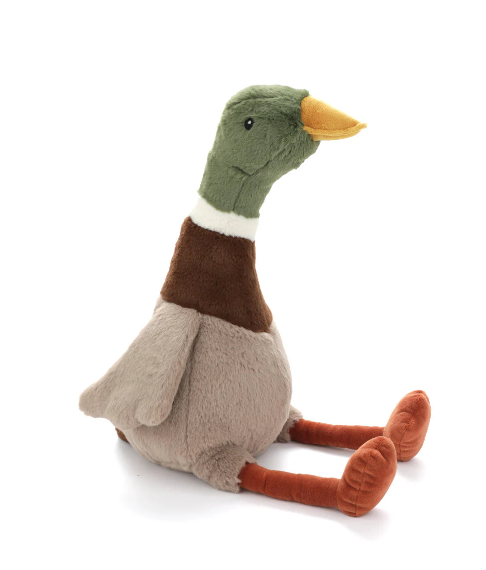 Big Hugo the Mallard Duck