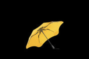 Blunt Metro Umbrella