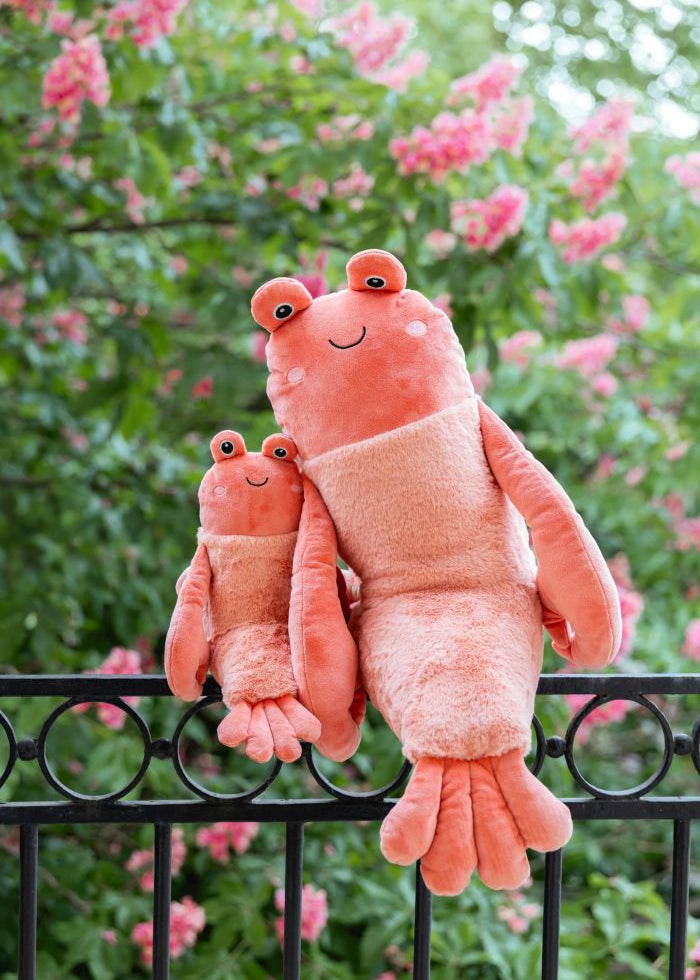 craig-the-crayfish-nanahuchy3.jpg