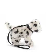 Debbie the Dalmation
