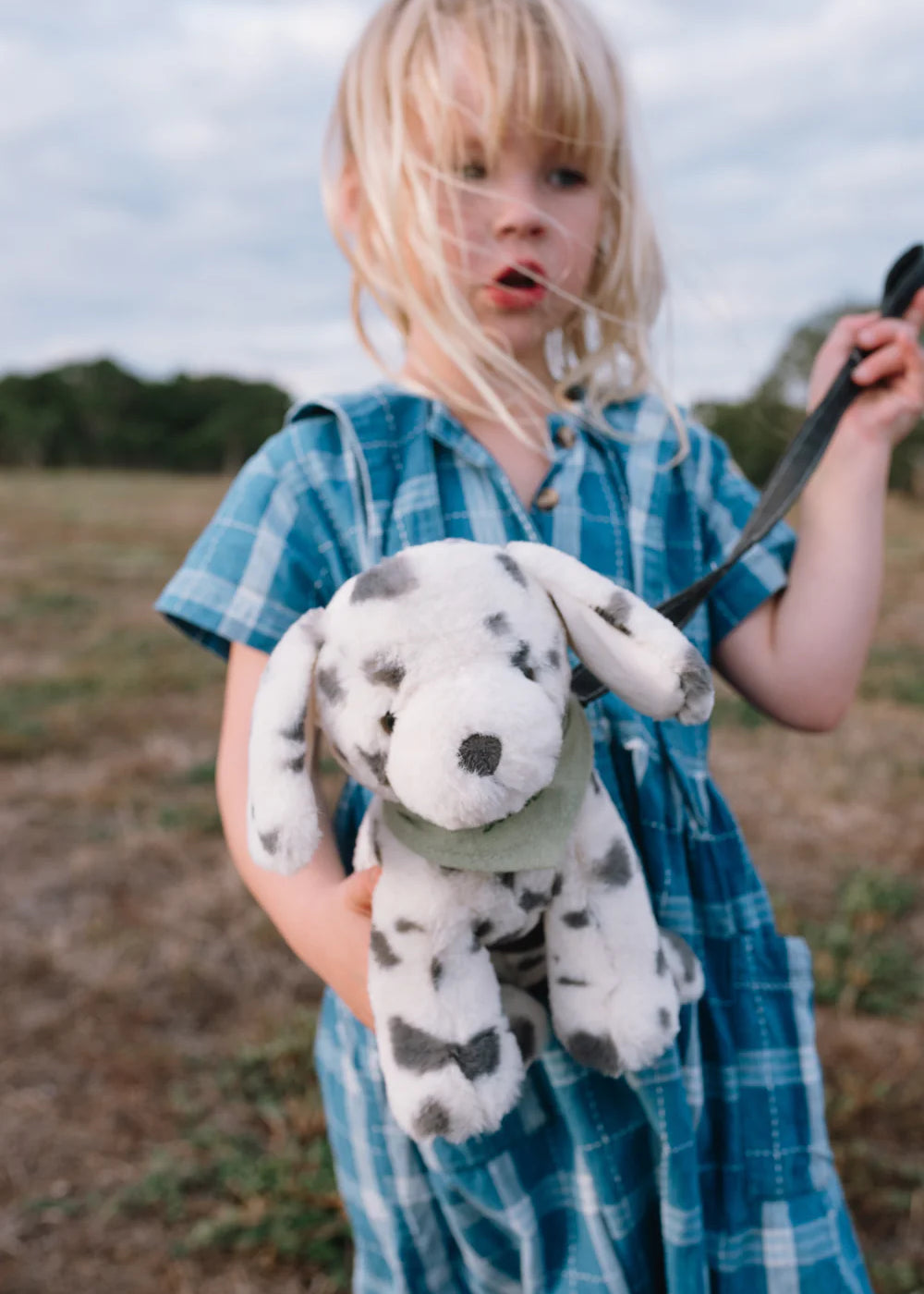 debbie-the-dalmation-nanahuchy-1159589952_1000x_a43be83c-9ee9-46d6-9cdd-e317048607c6.webp