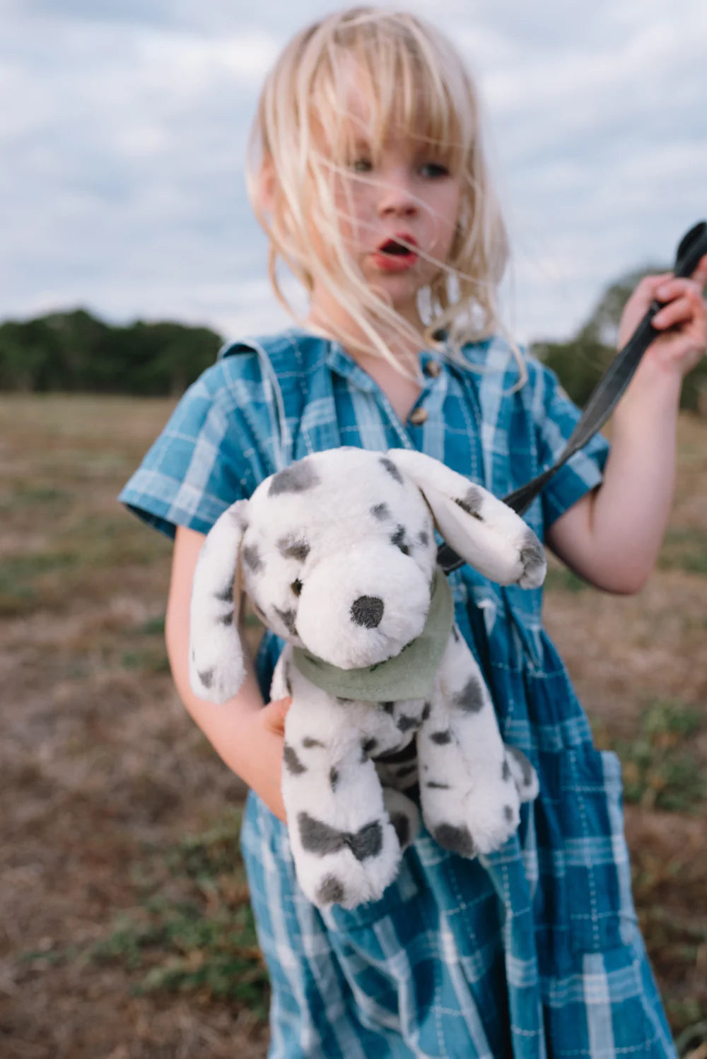 Debbie the Dalmation