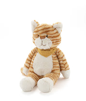 Ginger the Cat