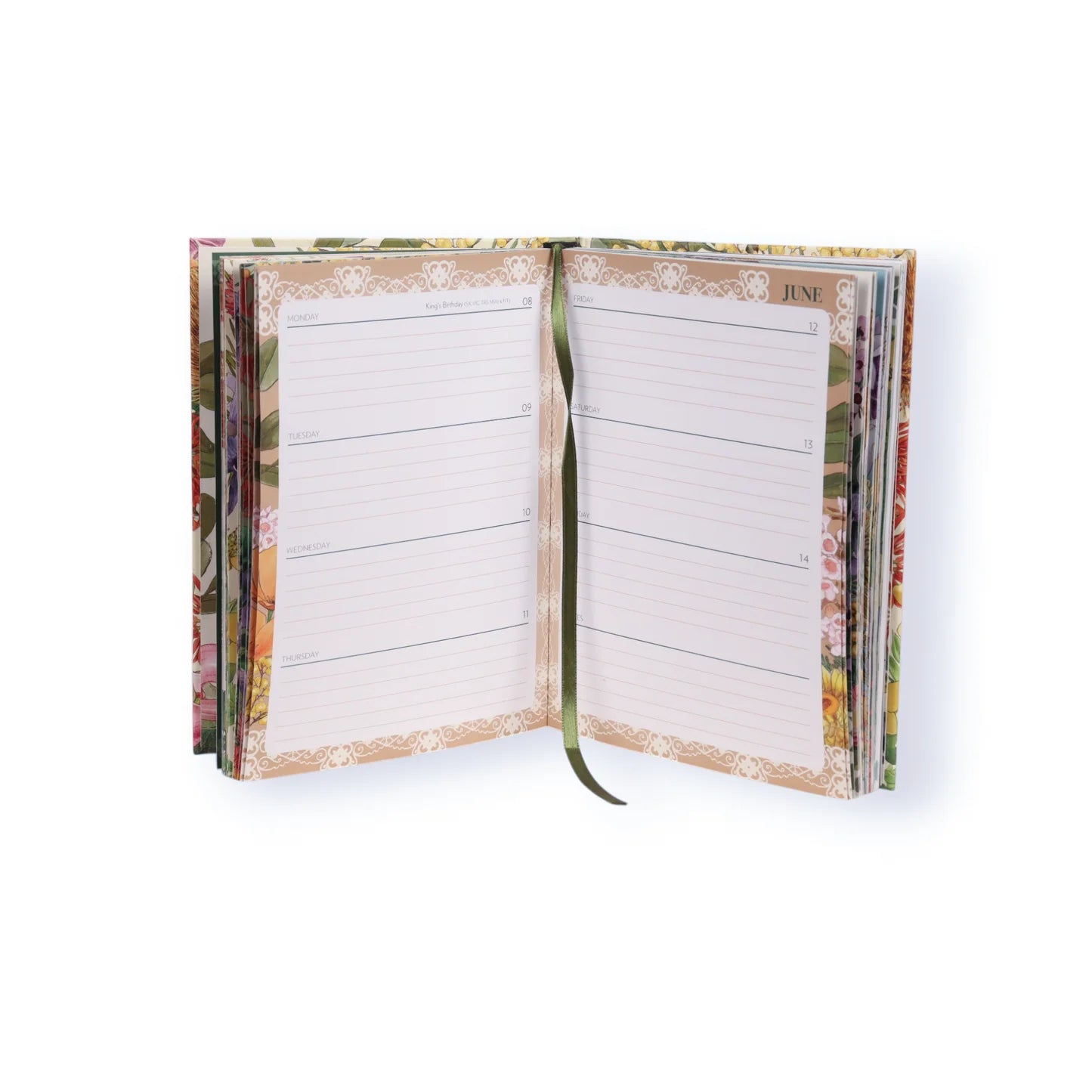 2026 Illustrated Diary