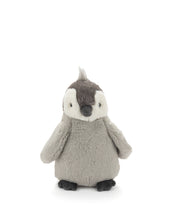 Paulo the Penguin