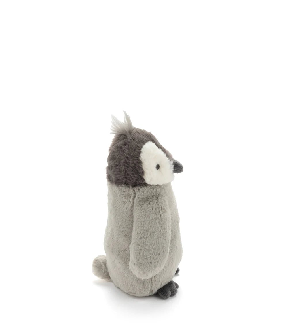 Paulo the Penguin