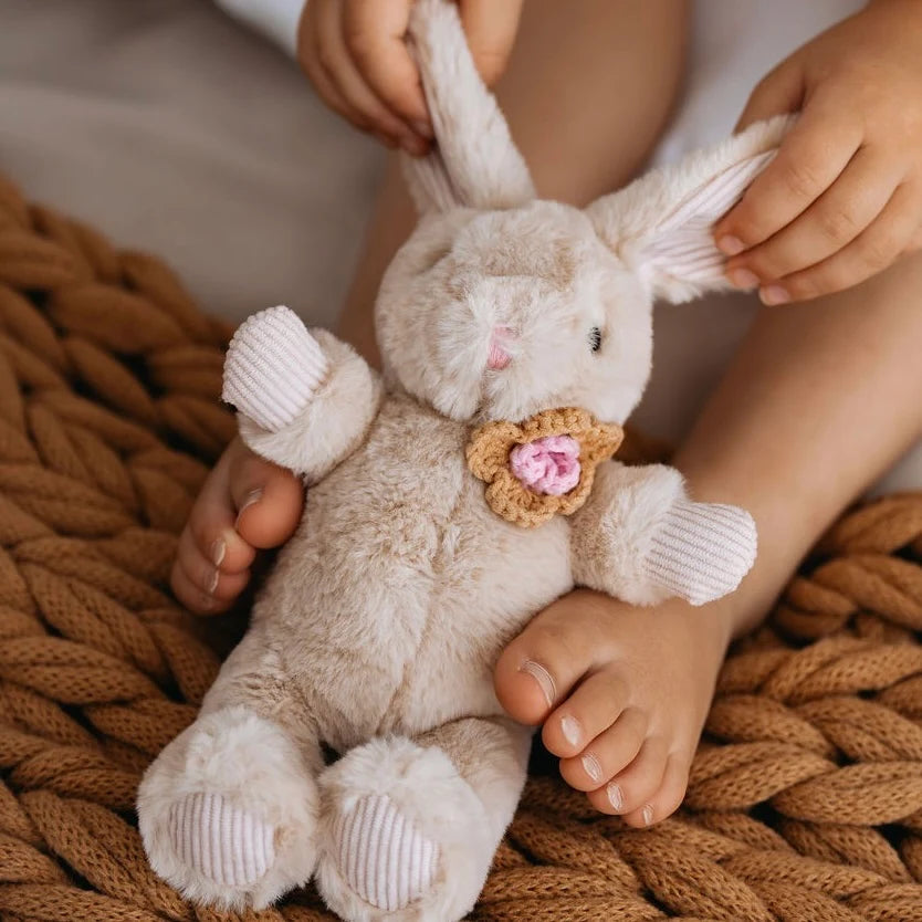Winnie Rabbit