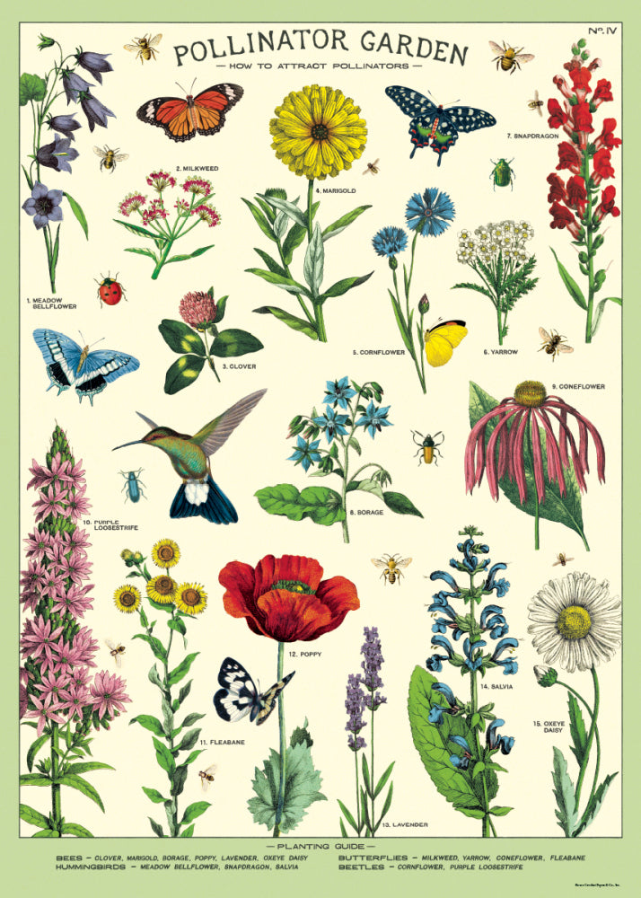 Vintage Poster/Gift Wrap
