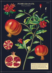 Vintage Poster/Gift Wrap