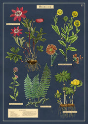 Vintage Poster/Gift Wrap