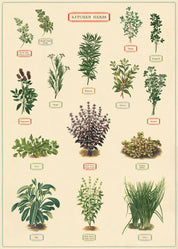 Vintage Poster/Gift Wrap