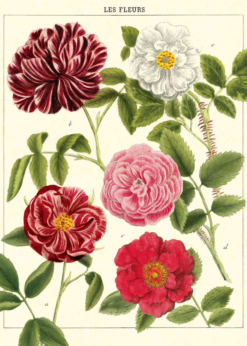 Vintage Poster/Gift Wrap