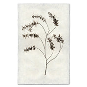 Eucalyptus Print on Nepalese Handmade Paper with Hanger