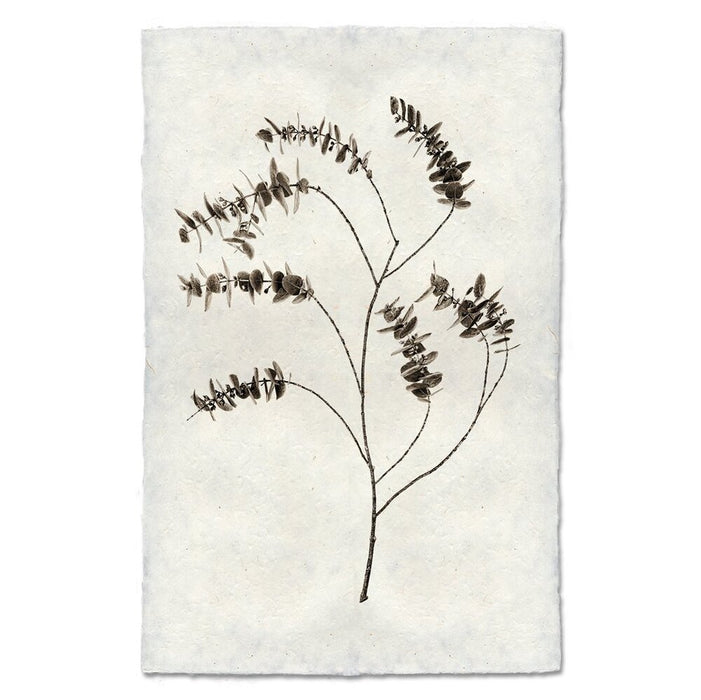 Eucalyptus Print on Nepalese Handmade Paper with Hanger