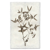 Eucalyptus Print on Nepalese Handmade Paper with Hanger