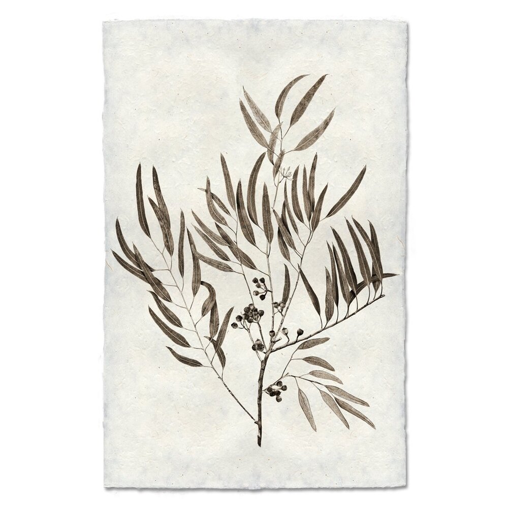 Eucalyptus Print on Nepalese Handmade Paper with Hanger