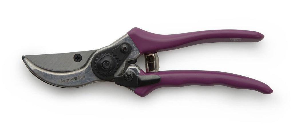 Passiflora Secateurs- Gift Boxed