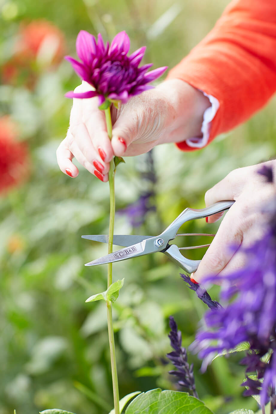 Sophie Conran Precision Secateurs
