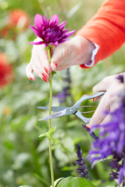 Sophie Conran Precision Secateurs