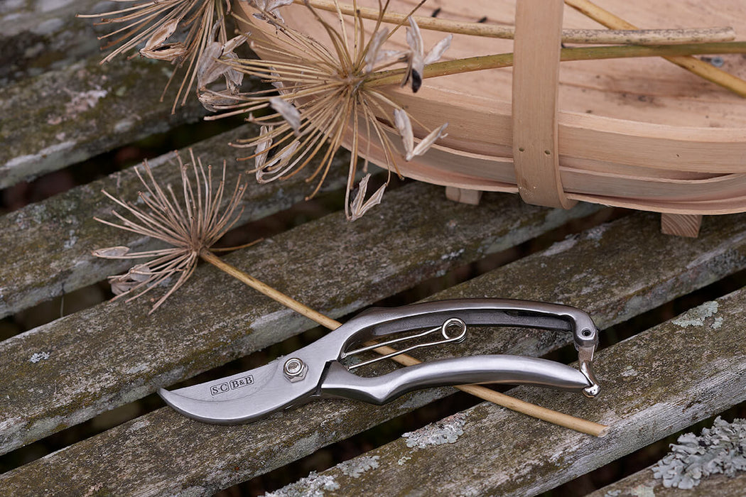 Sophie Conran Secateurs- Gift Boxed