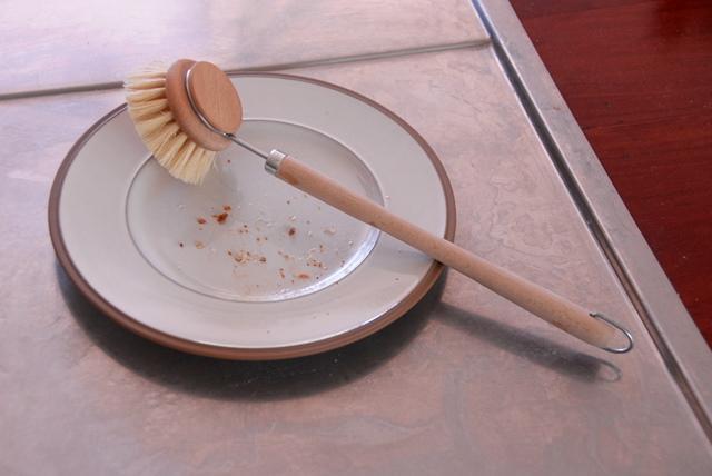 Beechwood Dish Brush & Replacement Head