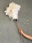 long_white_featherr_duster_150x_ac3a969f-5a88-475e-a207-b665d82d1b42.jpg