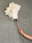 Feather Duster- Long