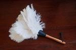 Feather Duster- Medium and Small